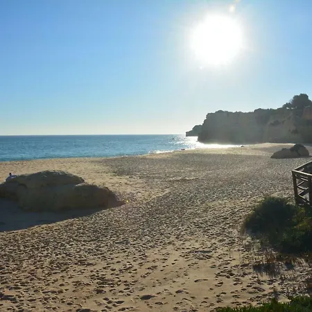 Estrela Do Mar A 50 Metros Da *