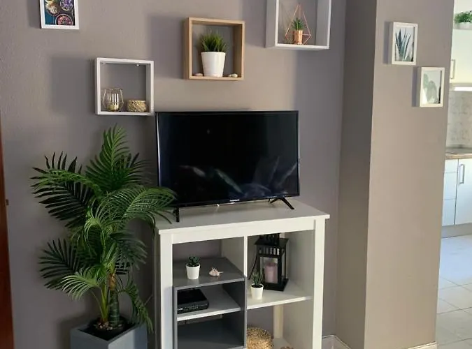 Estrela Do Mar A 50 Metros Da Armação de Pêra