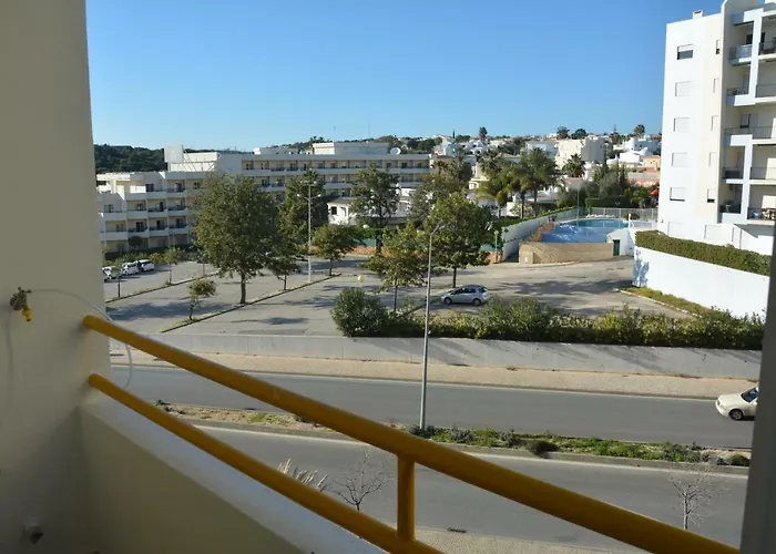 Estrela Do Mar A 50 Metros Da