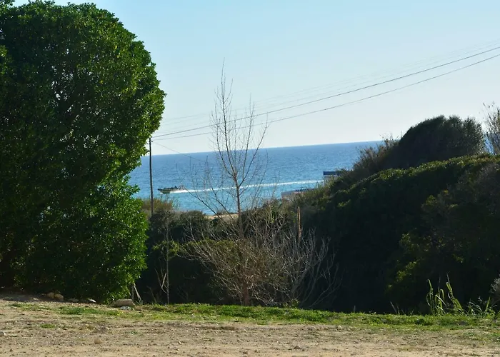 Estrela Do Mar A 50 Metros Da