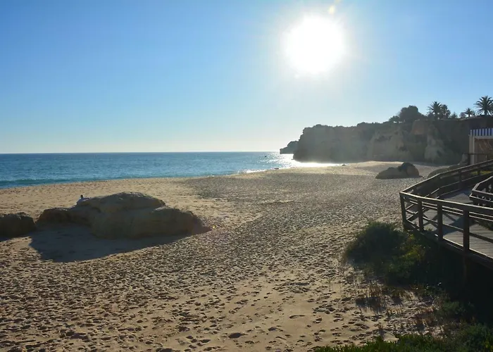 Estrela Do Mar A 50 Metros Da *